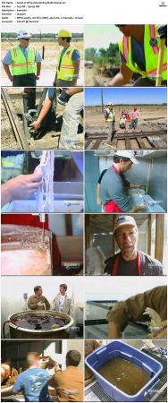 Dirty Jobs S02 TVRip XVID-MiXED