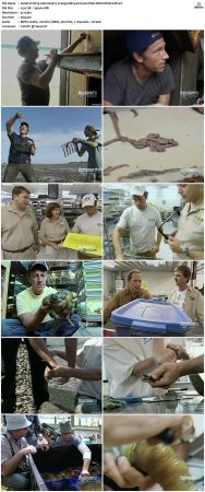 Dirty Jobs S03 TVRip XVID-MiXED