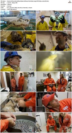 Dirty Jobs S08 720p HDTV DD5.1 x264-RZF
