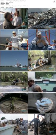 Dirty Jobs S02 TVRip XVID-MiXED