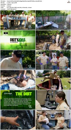 Dirty Jobs S06 720p HDTV DD5.1 x264-RZF