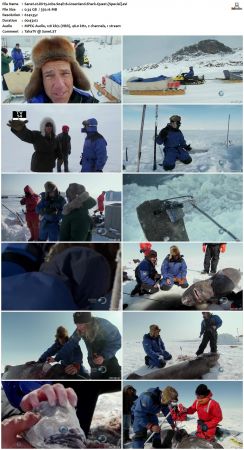 Dirty Jobs S04 TVRip XVID-MiXED
