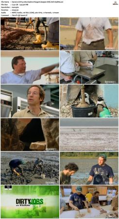 Dirty Jobs S03 TVRip XVID-MiXED
