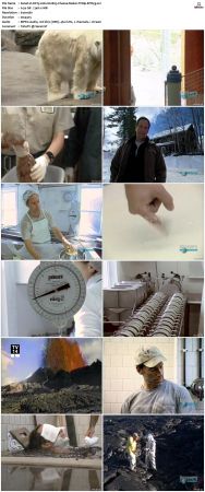 Dirty Jobs S02 TVRip XVID-MiXED