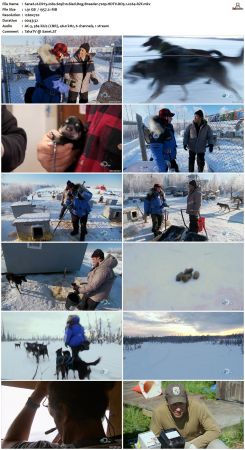 Dirty Jobs S05 720p HDTV DD5.1 x264-RZF