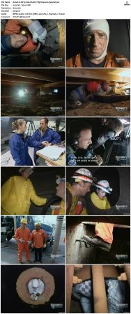 Dirty Jobs S04 TVRip XVID-MiXED
