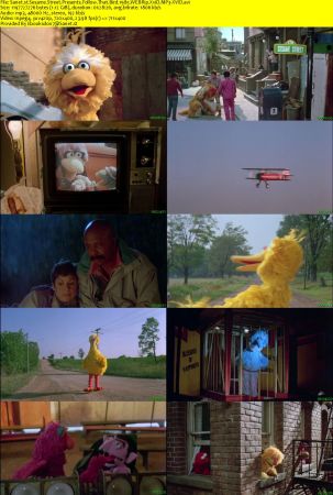 Sesame Street Presents Follow That Bird 1985 WEBRip XviD MP3-XVID
