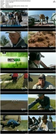 Dirty Jobs S03 TVRip XVID-MiXED