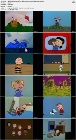 A Boy Named Charlie Brown 1969 1080p BluRay x264-nikt0