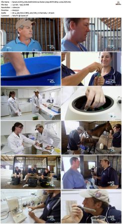 Dirty Jobs S06 720p HDTV DD5.1 x264-RZF