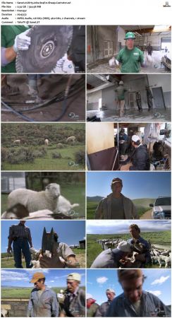 Dirty Jobs S04 TVRip XVID-MiXED