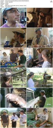 Dirty Jobs S02 TVRip XVID-MiXED