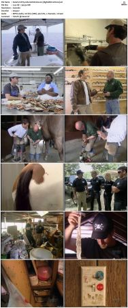 Dirty Jobs S01 TVRip XVID-MiXED