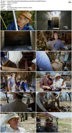 Dirty Jobs S07 720p HDTV x264-MOMENTUM
