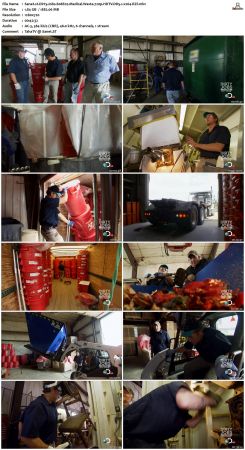 Dirty Jobs S08 720p HDTV DD5.1 x264-RZF