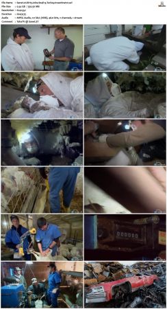 Dirty Jobs S04 TVRip XVID-MiXED