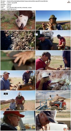 Dirty Jobs S09 720p HDTV x264-DHD