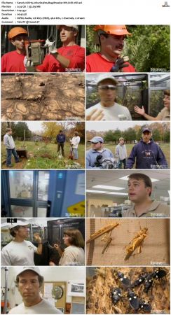 Dirty Jobs S03 TVRip XVID-MiXED