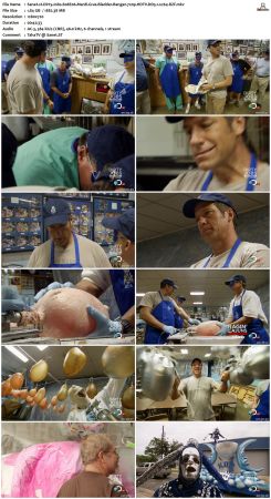 Dirty Jobs S08 720p HDTV DD5.1 x264-RZF