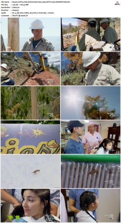 Dirty Jobs S07 720p HDTV x264-MOMENTUM