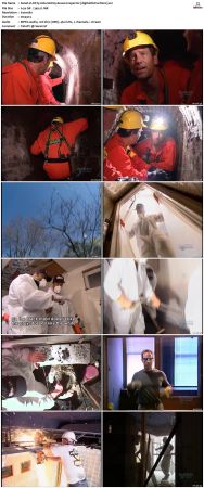 Dirty Jobs S01 TVRip XVID-MiXED