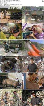 Dirty Jobs S02 TVRip XVID-MiXED
