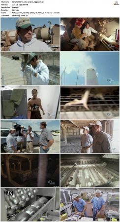 Dirty Jobs S04 TVRip XVID-MiXED