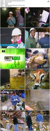 Dirty Jobs S02 TVRip XVID-MiXED