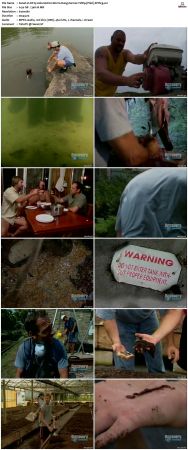 Dirty Jobs S01 TVRip XVID-MiXED