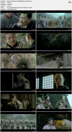 Shaolin 2011 1080p BluRay x264-nikt0