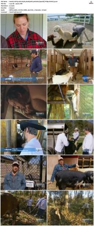 Dirty Jobs S03 TVRip XVID-MiXED