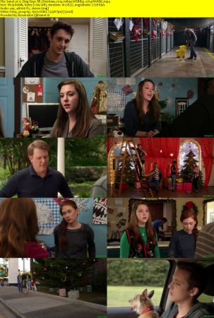 12 Dog Days Till Christmas 2014 1080p WEBRip x264-RARBG