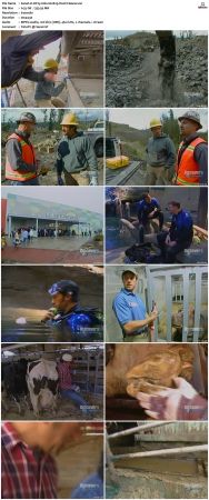 Dirty Jobs S02 TVRip XVID-MiXED