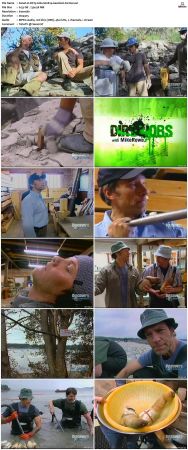 Dirty Jobs S02 TVRip XVID-MiXED