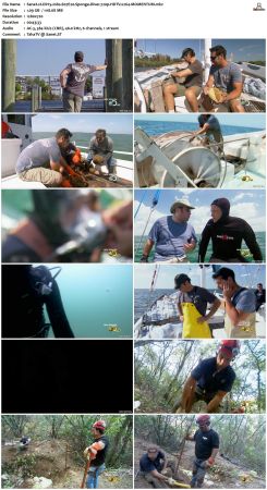 Dirty Jobs S07 720p HDTV x264-MOMENTUM