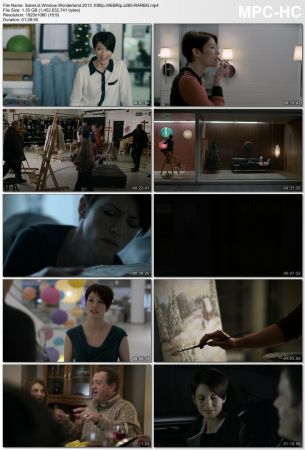 Window Wonderland 2013 1080p WEBRip x265-RARBG
