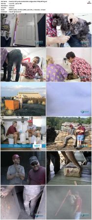 Dirty Jobs S02 TVRip XVID-MiXED