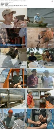 Dirty Jobs S03 TVRip XVID-MiXED