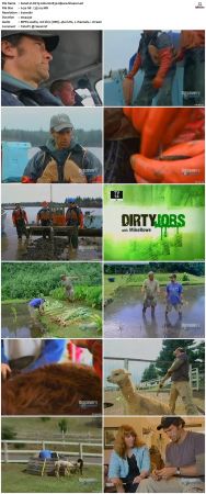 Dirty Jobs S02 TVRip XVID-MiXED