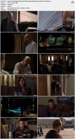 Breaking Bad S05 1080p 10bit BluRay x265 HEVC 6CH-MRN