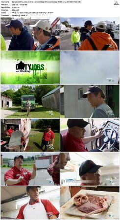 Dirty Jobs S07 720p HDTV x264-MOMENTUM