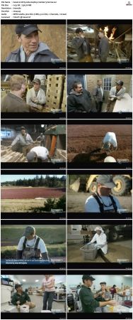 Dirty Jobs S04 TVRip XVID-MiXED
