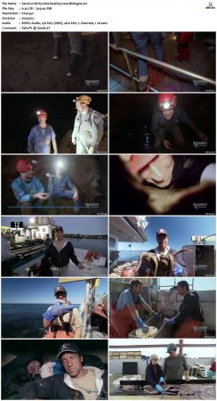 Dirty Jobs S04 TVRip XVID-MiXED