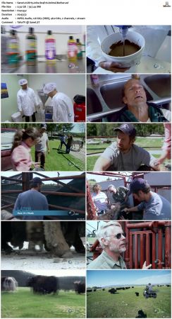 Dirty Jobs S04 TVRip XVID-MiXED