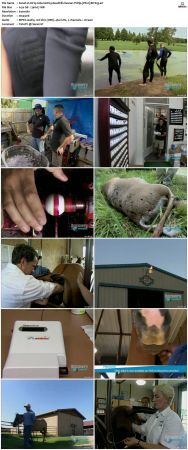 Dirty Jobs S01 TVRip XVID-MiXED