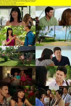 A Summer to Remember 2018 1080p WEBRip x264-RARBG