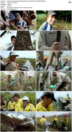 Dirty Jobs S07 720p HDTV x264-MOMENTUM