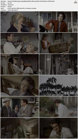 The Birds 1963 2160p BluRay HDR10 10bit x265 HEVC DTS-HD MA 2.0-PHOCiS