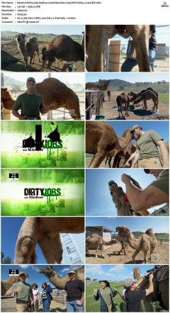 Dirty Jobs S05 720p HDTV DD5.1 x264-RZF
