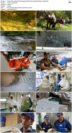 Dirty Jobs S06 720p HDTV DD5.1 x264-RZF
